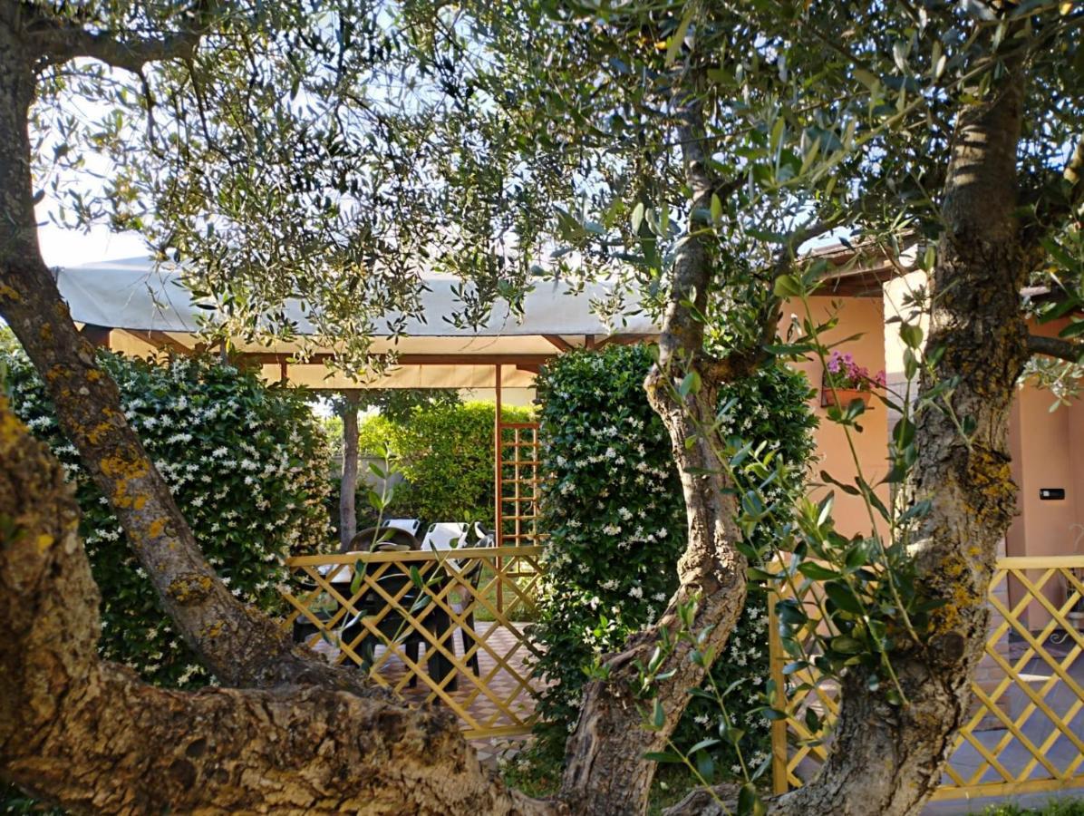 Melody House - Dependance Βίλα Castel del Bosco  Εξωτερικό φωτογραφία
