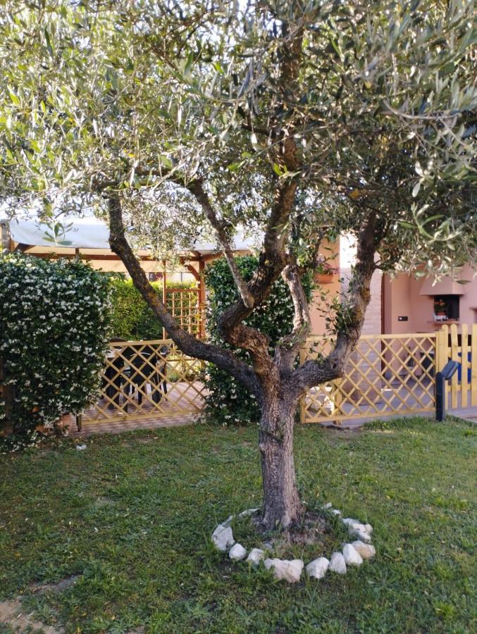 Melody House - Dependance Βίλα Castel del Bosco  Εξωτερικό φωτογραφία